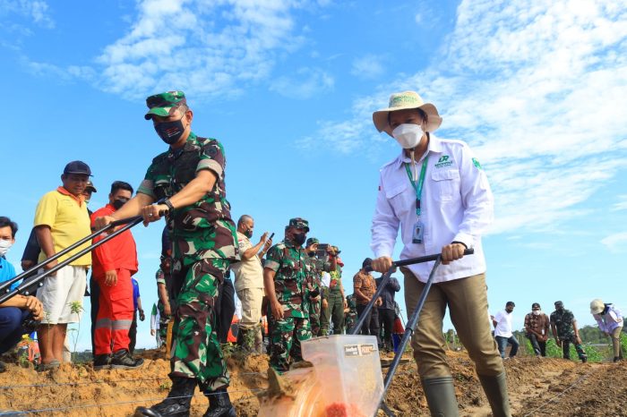 Penanaman Perdana Demfarm ETAM Kerja Sama Dalam Ketahanan Pangan Kodam