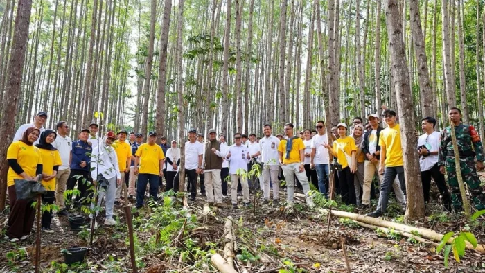 Rayakan HUT ke-41, Hermina Group Tanam Pohon di IKN, Tegaskan Komitmen Lingkungan