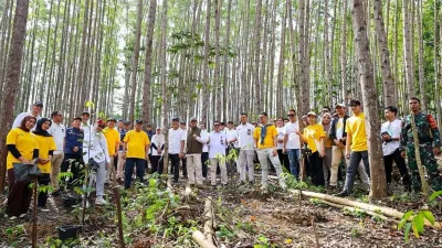 Rayakan HUT ke-41, Hermina Group Tanam Pohon di IKN, Tegaskan Komitmen Lingkungan