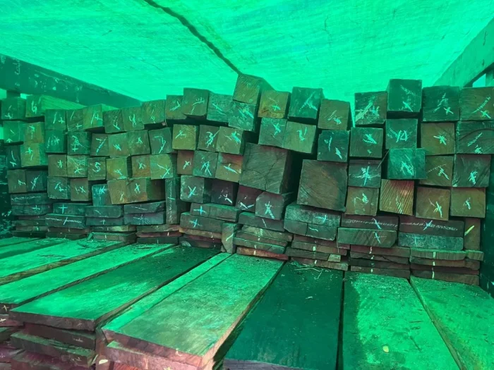 Truk Bermuatan Kayu Ulin Ilegal Diamankan, Lanal Balikpapan Ungkap Modus Dokumen Palsu