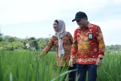 Evaluasi Program Pertanian, Pemkot Balikpapan Pastikan Dampak Nyata bagi Petani Gunung Binjai