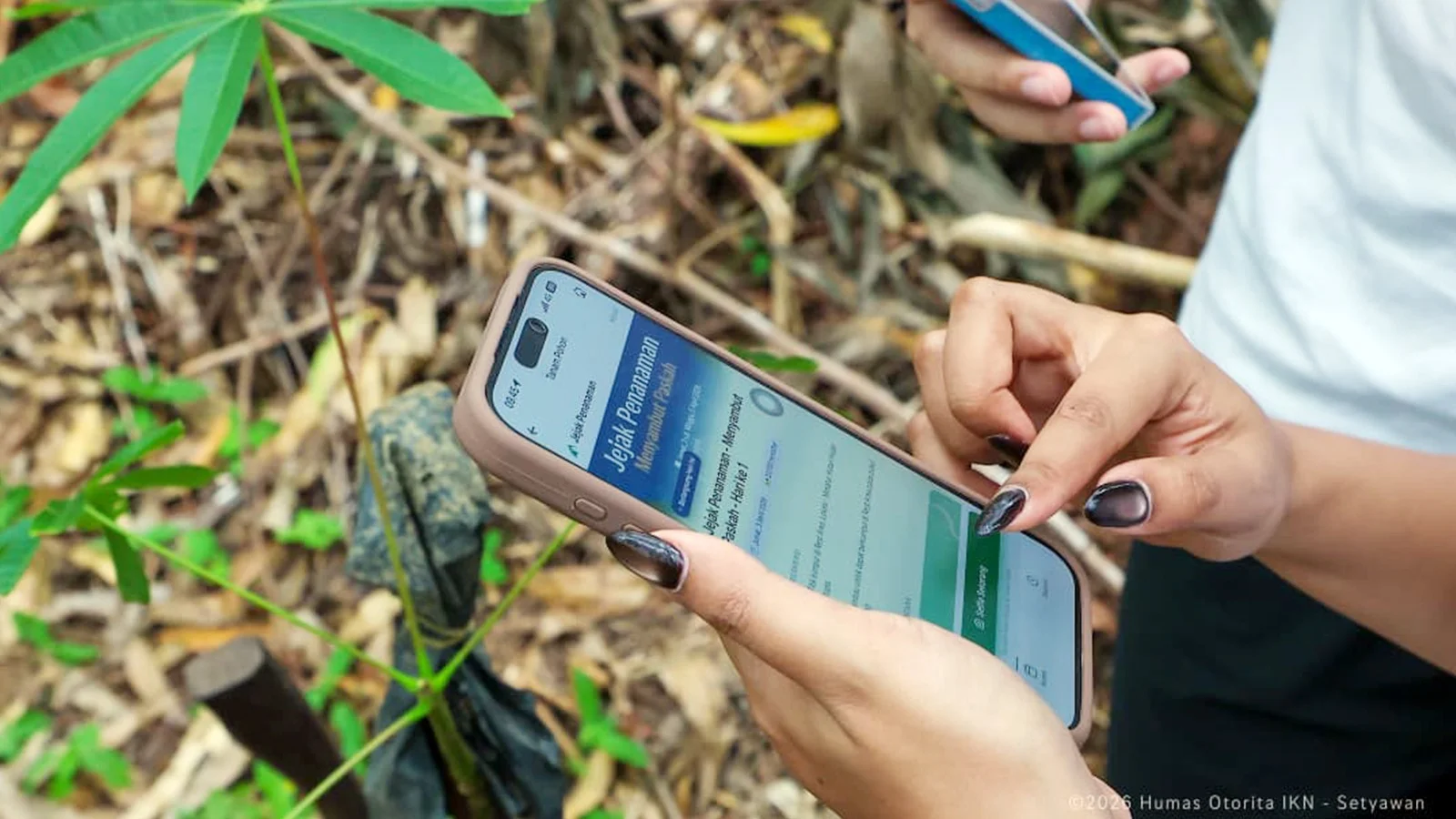 Otorita mengajak pengunjung untuk melakukan penanaman di kawasan hutan sekitar IKN atau di dalam KIPP. Foto: HO/Humas Otorita IKN