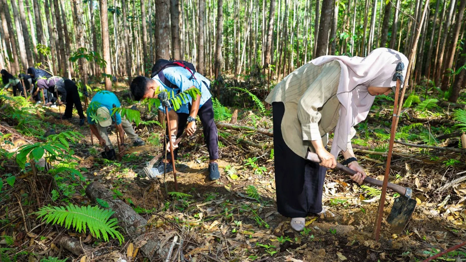 Otorita mengajak pengunjung untuk melakukan penanaman di kawasan hutan sekitar IKN atau di dalam KIPP. Foto: HO/Humas Otorita IKN