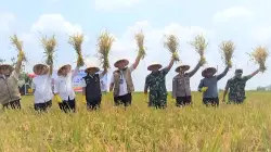 Bulog Targetkan Serap 4 Juta Ton Gabah pada 2026