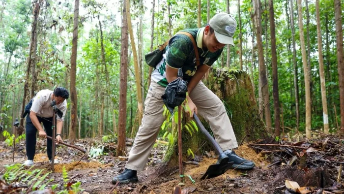 Libur Panjang di IKN, Pengunjung Diajak Tanam Pohon dan Jelajahi Kawasan Istana Negara