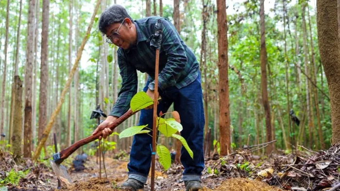 Dalam rangka memperingati hari libur panjang Otorita IKN mengajak masyarakat untuk meninggalkan jejak hijau di Miniatur Hutan Hujan Tropis (MHHT) pada Jumat hingga Minggu (15/05/2026 - -17/05/2026). Foto: HO/Humas Otorita IKN