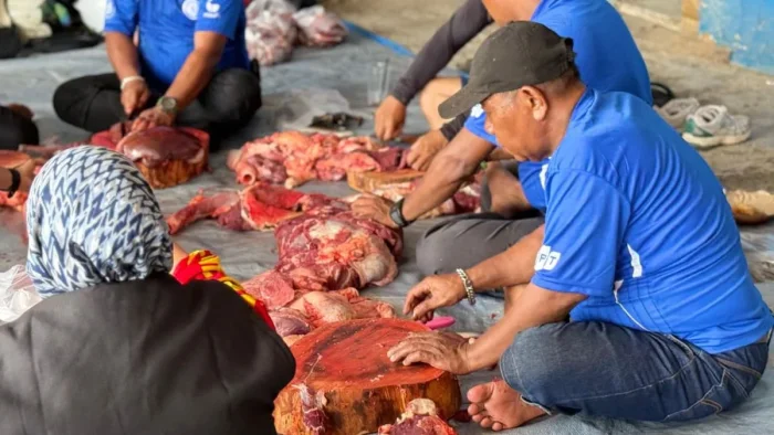 Panitia penyelenggara saat memotong dan menyiapkan daging kurban untuk dibagikan kepada relawan dan warga di Posko 2 Damkar Samarinda, pada Kamis (28/5/2026). Foto: BorneoFlash/Nur Ainunnisa