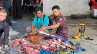 ITS Salurkan 330 Paket Daging Kurban kepada Relawan dan Warga di Samarinda