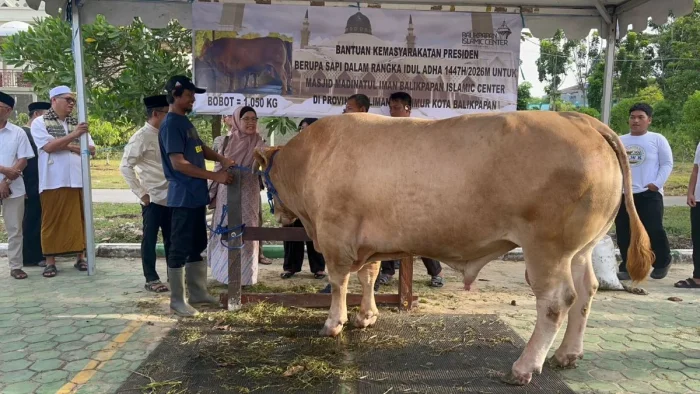 Penyerahan Hewan Kurban Bantuan Presiden RI Prabowo Subianto, di Halaman Masjid Madinatul Iman Balikpapan Islamic Center, pada Rabu (27/5/2026). Foto: BorneoFlash/Niken Sulastri