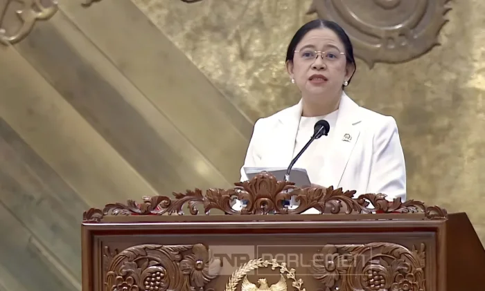 Puan Maharani Minta Pemerintah Perkuat Antisipasi Hantavirus dengan Edukasi Publik