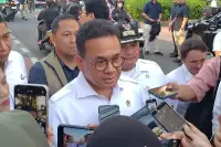 Harga Minyak Goreng Naik Dipicu Harga CPO dan Biaya Distribusi