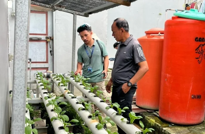 Lapas Kelas IIA Samarinda membudidayakan berbagai tanaman hidroponik seperti pakcoy, sawi, seledri, dan cabai yang melibatkan warga binaan. Foto: BorneoFlash/Nur Ainunnisa