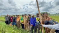 Sawah Gunung Binjai Diproyeksikan Jadi Penyangga Ketahanan Pangan Balikpapan