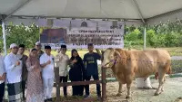 Sapi Kurban Presiden di Balikpapan Diserahkan Wali Kota ke Pengurus BIC, Besok Disembelih