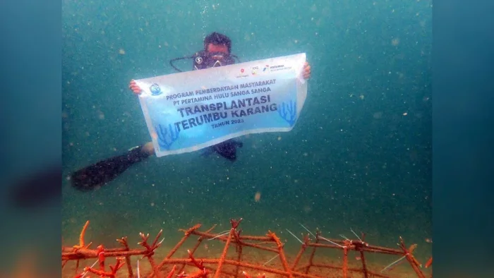 Dari Terumbu Karang hingga Wisata Pesisir, PHI Wujudkan Konservasi Berbasis Masyarakat