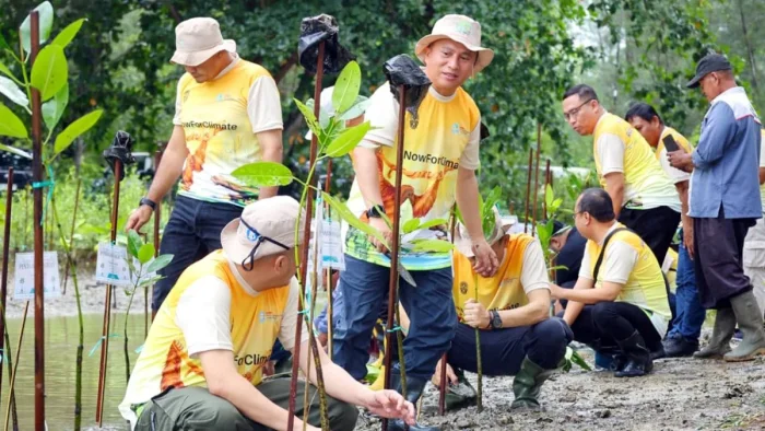 Otorita IKN melakukan Aksi Bersih Pantai dan Penanaman Mangrove di Pantai Tanah Merah di Kelurahan Tanjung Harapan, Kecamatan Samboja yang digelar pada Sabtu (13/6/2026). Foto: HO/HUmas Otorita IKN
