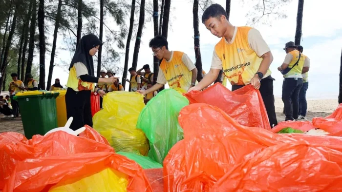 Tanam 350 Mangrove dan Angkut 202 Kilogram Sampah, Otorita IKN Ajak Warga Jadikan Peduli Lingkungan sebagai Gaya Hidup