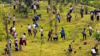 Hari Lingkungan Hidup Sedunia 2026, IKN Tanam 1.153 Pohon dan Perkuat Budaya Aksi Iklim