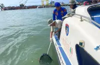 Peringati Hari Bhayangkara ke-80, Sat Polairud Polres PPU dan PT ASDP Gelar Aksi Bersih Pesisir