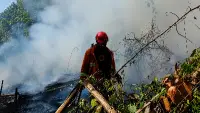 Kaltim Hadapi Lonjakan Titik Panas, BPBD Perkuat Patroli Karhutla
