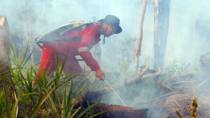 Cegah Karhutla di Nusantara, Otorita IKN Bentuk Satuan Reaksi Cepat dan Bagi Wilayah dalam 7 Klaster