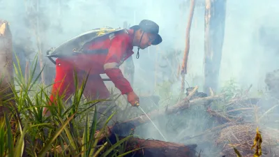 Cegah Karhutla di Nusantara, Otorita IKN Bentuk Satuan Reaksi Cepat dan Bagi Wilayah dalam 7 Klaster