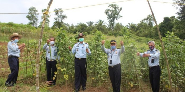 Pembinaan Kemandirian, Rutan Tanah Grogot Komitmen Wujudkan Program Ketahanan Pangan Nasional 