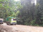 Truk angkutan TBS dan CPO berkapasitas puluhan ton melintas di jalan umum.