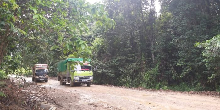 Bupati Kubar FX Yapan Geram, Perusahaan Kelapa Sawit di Kubar Biang Kerok Kerusakan Jalan