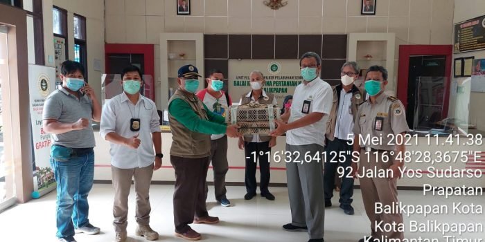 Karantina Pertanian Balikpapan Gagalkan Penyelundupan Cucak Ijo