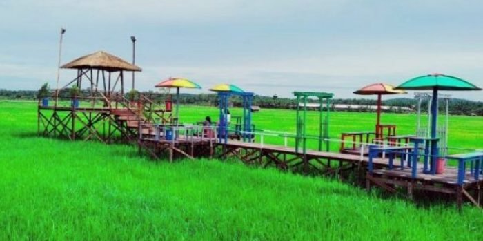 Anggota Dewan PPU Apresiasi Wisata Sawah Desa Gunung Mulia