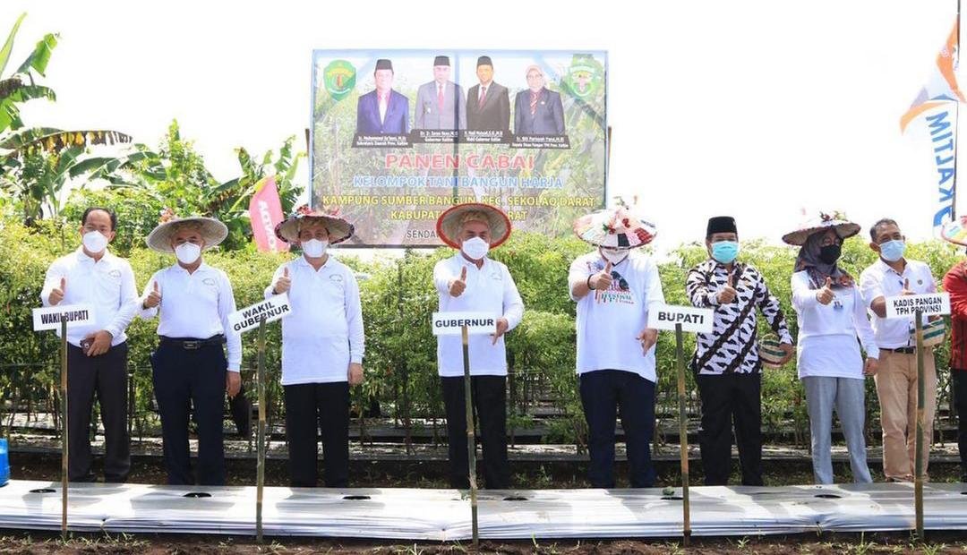 Panen Cabai di Sekolaq Darat, Isran Noor Beri Bantuan Bibit Tanaman dan Alat Pertanian Kepada Para Petani di Kubar