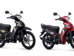 Kolase : Vega Force Warna Baru Meluncur.