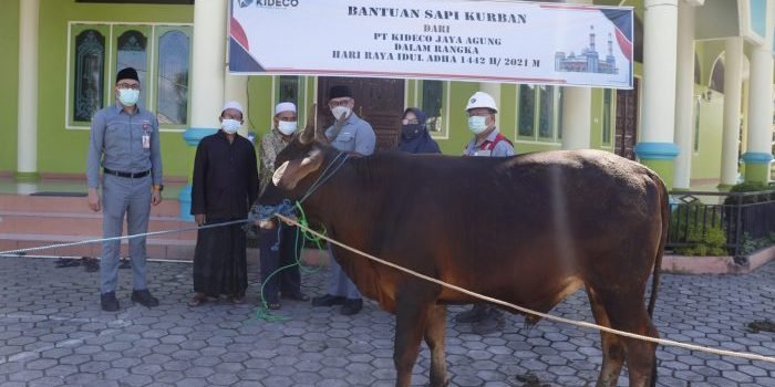 Sambut Hari Raya Idul Adha 1442 H/2021, Kideco Bagikan 140 Ekor Sapi Kurban