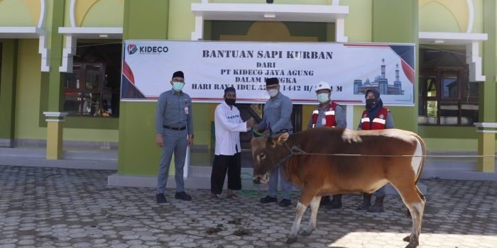 Presiden Direktur Kideco, M.Kurnia Ariawan serahkan bantuan Sapi Kurban kepada pengurus Masjid Al-Fath Desa Batu Kajang. Foto : HO.