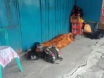 Penemuan Jasad Terkonfirmasi positif Covid-19  di Jalan Patimura RT 26 Kelurahan Batu Ampar pada Rabu (14/7/2021). Foto : borneoFlash.com/Muhammad Eko.