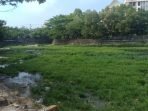 Kondisi waduk Telaga Sari terpotret pada Sabtu (24/7/2021). Foto : BorneoFlash.com/Muhammad Eko.