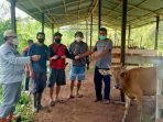 Kabid Peternakan Dinas Pertanian Kubar, Sapriansyah Menyerahkan Bantuan 12 Ekor Sapi Kepada Kelompok Tani Maju Sejahtera di Kampung Muara Gusik Kecamatan Bongan. Foto : HO/ Humas protokol pemkab Kubar. 