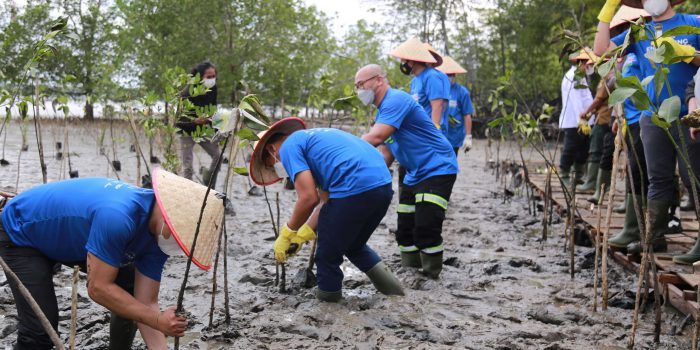 Bupati Paser dr. Fahmi Fadli, Wakil Direktur Utama & Group CEO PT Indika Energy Tbk , Azis Armand dan Presiden Direktur Kideco M.Kurnia Ariawan melakukan penanaman Mangrove. Foto : HO.
