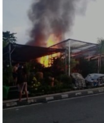 Si Jago merah kembali mengamuk di salah satu kios penjual bunga di  RT 37,  Kelurahan Telaga Sari, Balikpapan Kota   Senin (25/10/202). Foto : HO/Group Whatsapp.