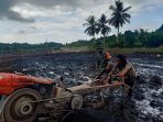 Babinsa Koramil 0907/01 Tartim Sertu M.Arifin dengan terjun langsung membantu sekaligus memberikan semangat kepada petani dalam membajak sawah, Senin(13/12/2021). Foto : HO/Pendam VI/Mlw.
