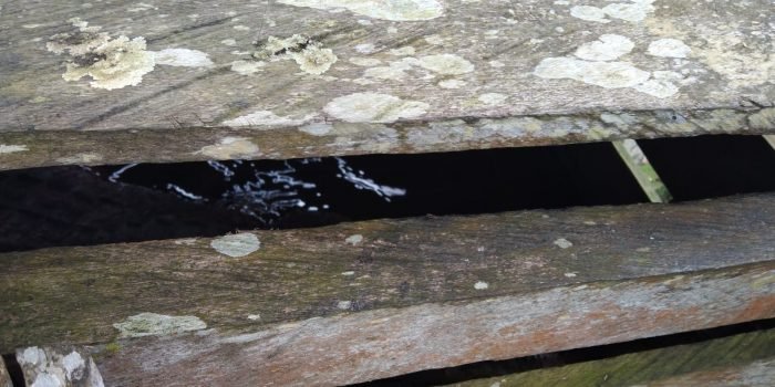 Kandang yang dibuatkan oleh keluarga Kamsiah untuk menempatkan buaya yang panjangnya hampir mencapai 4 meter. Foto : HO.