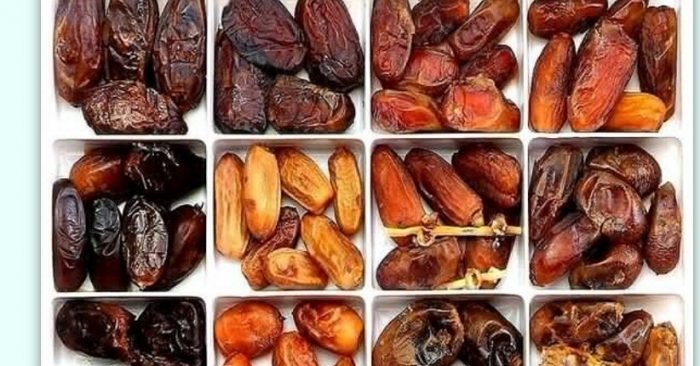 Ilustrasi ragam Buah Kurma.
