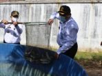 Petugas Rumah Tahanan Negara (Rutan) Kelas IIB Tanah Grogot, saat memanen ikan lele hasil pembinaan kemudian Warga Binaan Pemasyarakatan (WBP). Foto: BorneoFlash.com/Sarrassani.