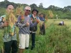 Pemerintah Kampung Jambuk, Kecamatan Bongan Kabupaten Kutai Barat, Gelar Panen padi perdana dilakukan pada Kamis (31/3/2022) kemarin. Foto: HO.