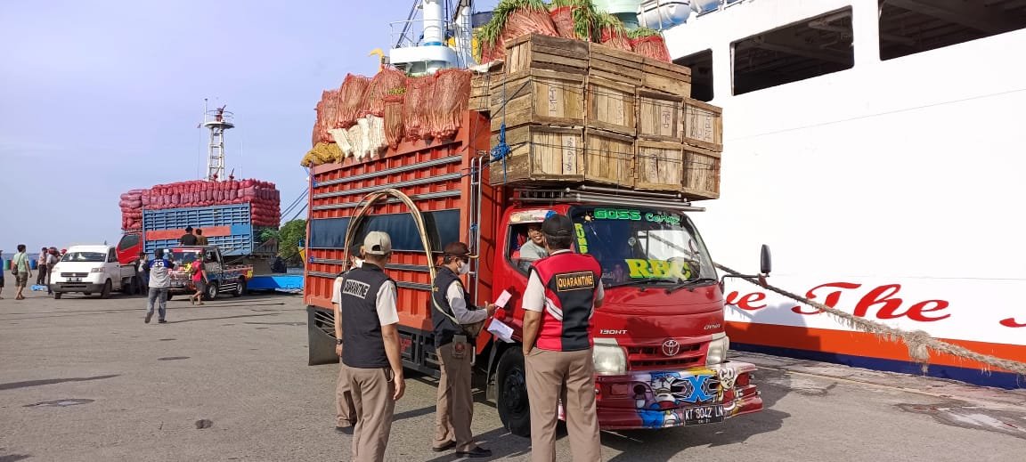Dipastikan Aman, Karantina Pertanian Balikpapan Periksa Muatan Kapal dari Surabaya dan Pare-Pare