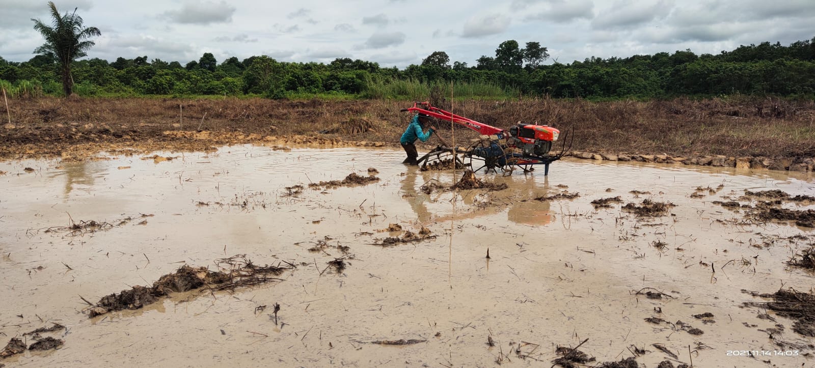 Sukses Panen Padi, Kampung Jambuk Buka Lahan Pertanian Lagi Untuk Tingkatkan Ketahanan Pangan