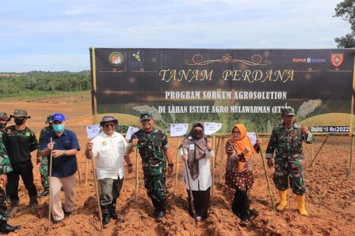 Kodam VI/Mulawarman bekerjasama dengan PT. Sorgum Indonesia penanaman perdana tanaman Sorgum Di lahan Estate Agro Mulawarman (ETAM). Rabu (18/5/2022). Foto: Pendam VI/Mlw.
