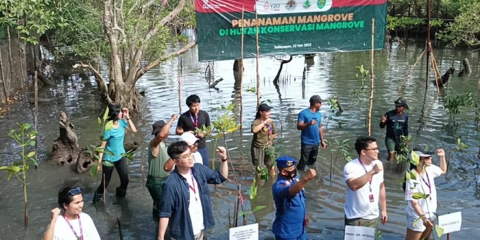 Delegasi Y20 Indonesia Tanam Mangrove di Margomulyo   