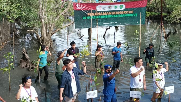 Para peserta Pra Konferensi Tingkat Tinggi (KTT) Ke III  Y20 Indonesia Presidensi G20 Indonesia saat menanam Bibit Mangrove di Taman Mangrove Margomulyo, Balikpapan, Kalimantan Timur (Kaltim), Minggu (22/5/2022). Foto: BorneoFlash.com/Niken.